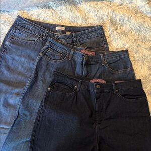 Lot of 3 Size 14 Women’s Jeans | Gloria Vanderbilt and Coldwater Creek